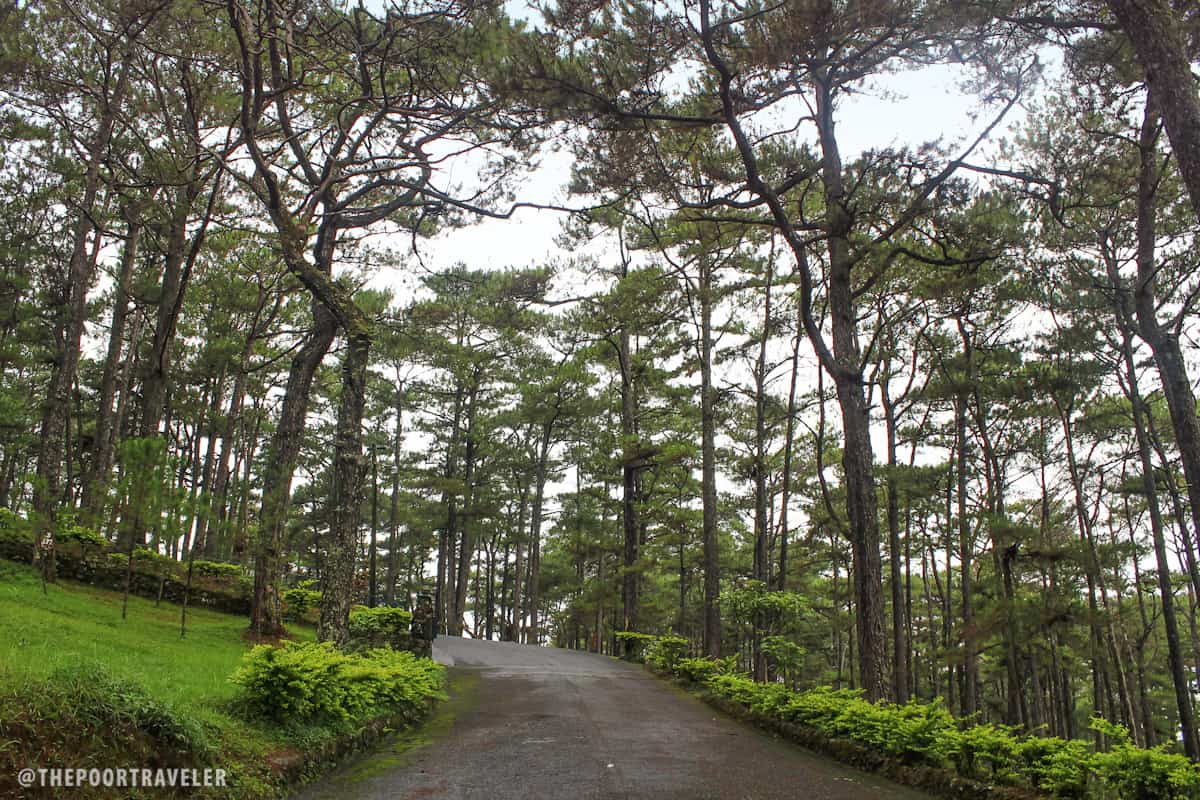 7 Things To Do At Camp John Hay, Baguio City | The Poor Traveler Blog