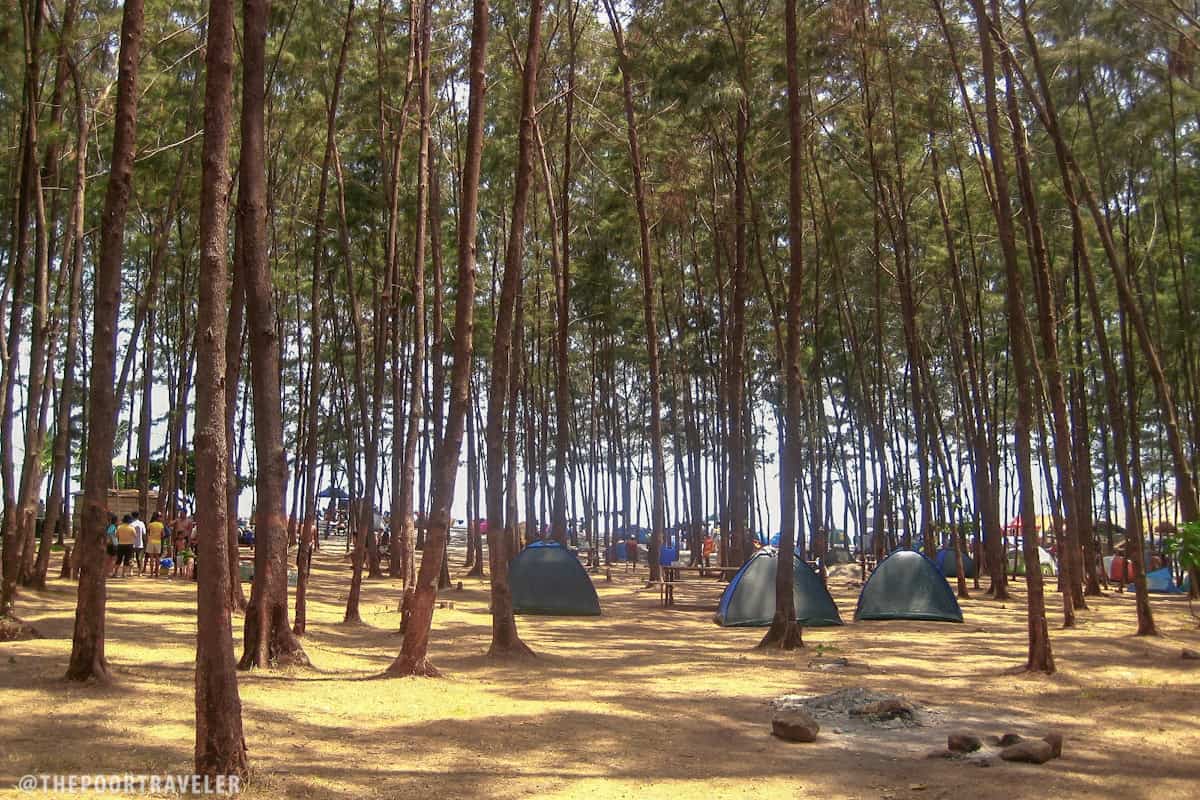 The camp area of Anawangin