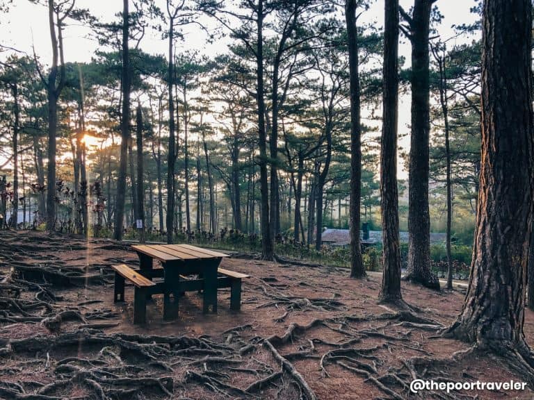 7 THINGS TO DO At CAMP JOHN HAY, BAGUIO CITY | The Poor Traveler ...