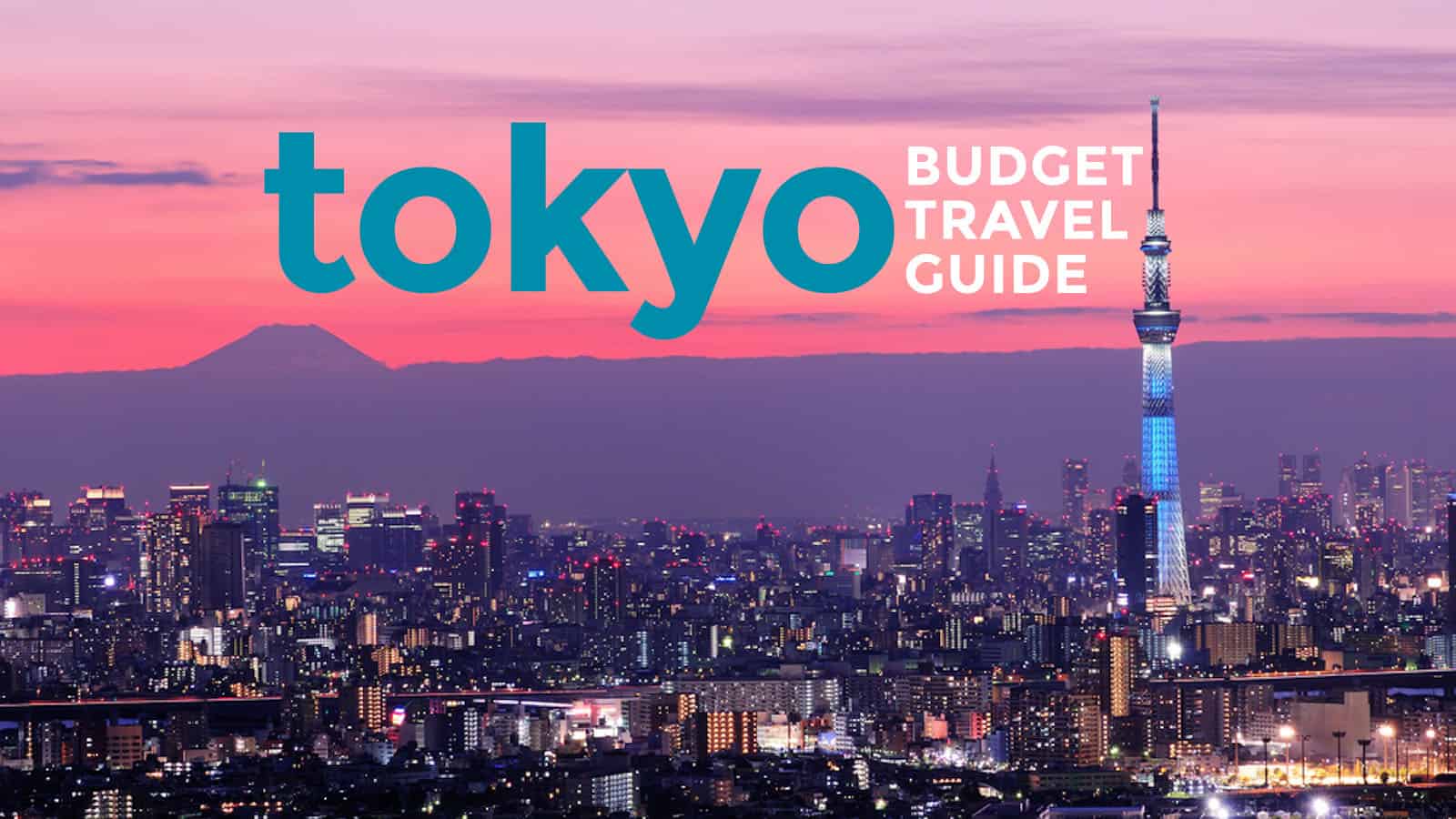 tokyo tour expense
