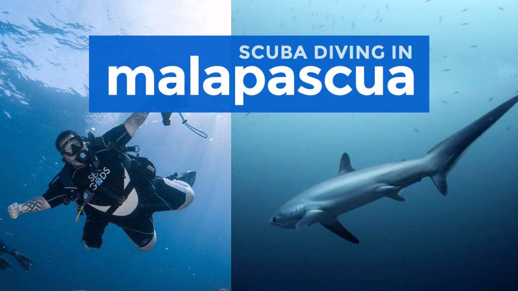 Scuba Diving in MALAPASCUA ISLAND | The Poor Traveler Itinerary Blog