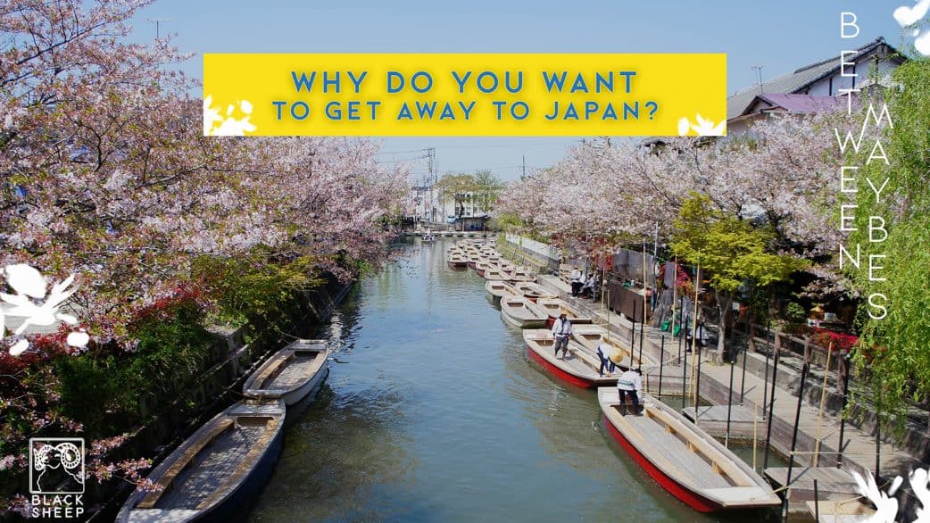 Who Wants a FREE Ticket to FUKUOKA, JAPAN? | The Poor Traveler ...