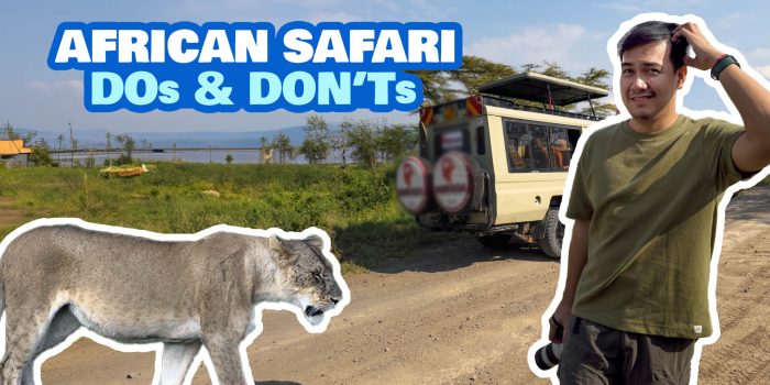 Top 10 AFRICAN SAFARI MISTAKES to Avoid in Kenya & South Africa