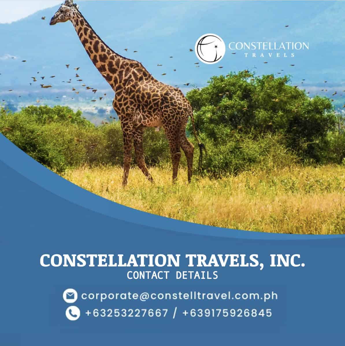 Constellation Travels Contact Number