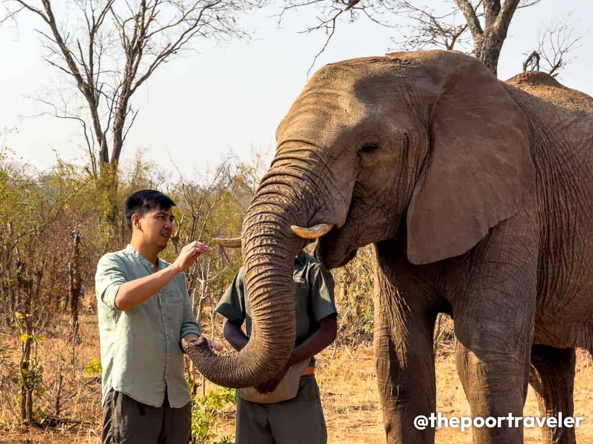 Elecrew Elephant Sanctuary Victoria Falls