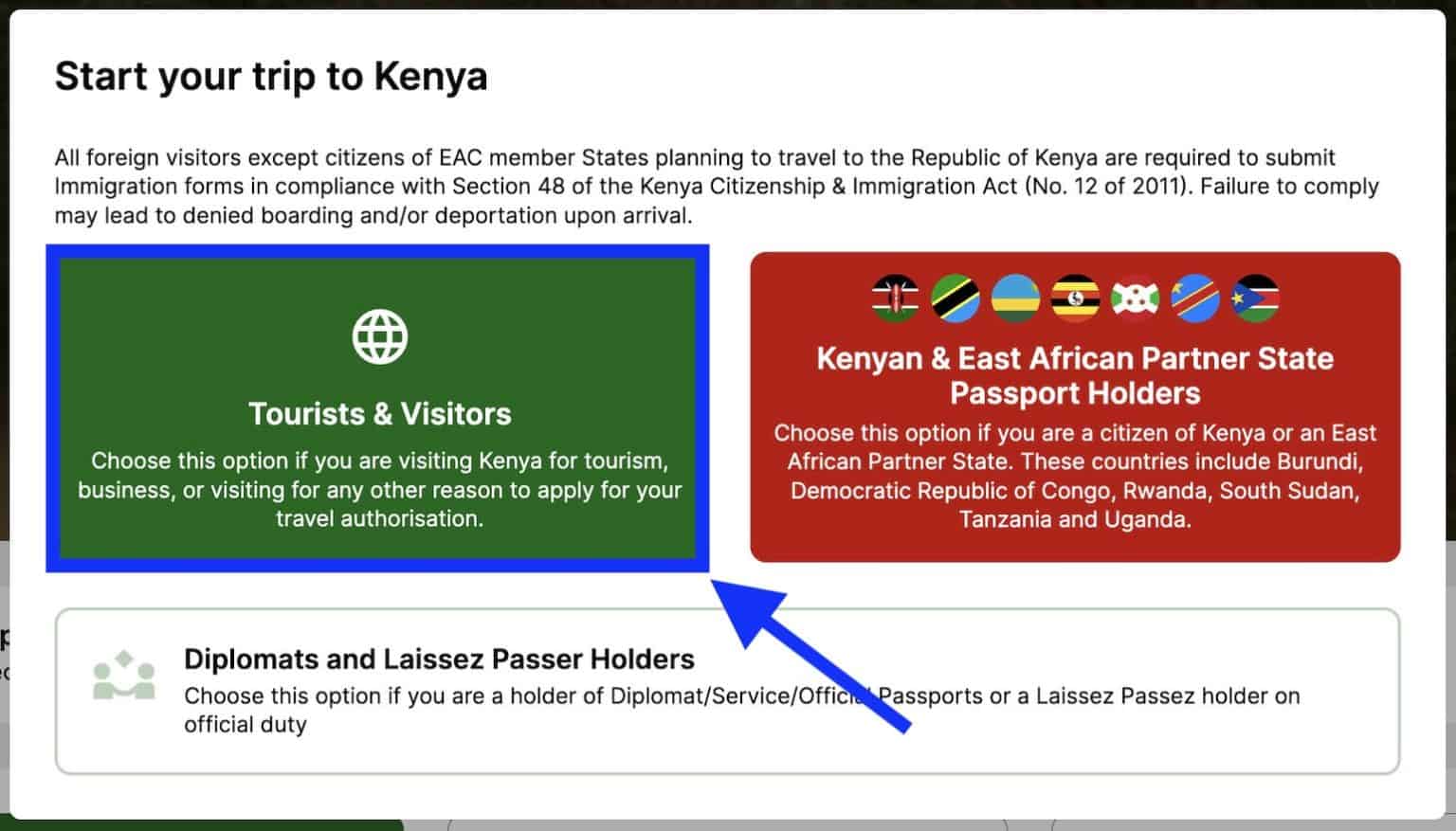 How to Apply for KENYA eVISA or ETA Online • Requirements + Process for ...