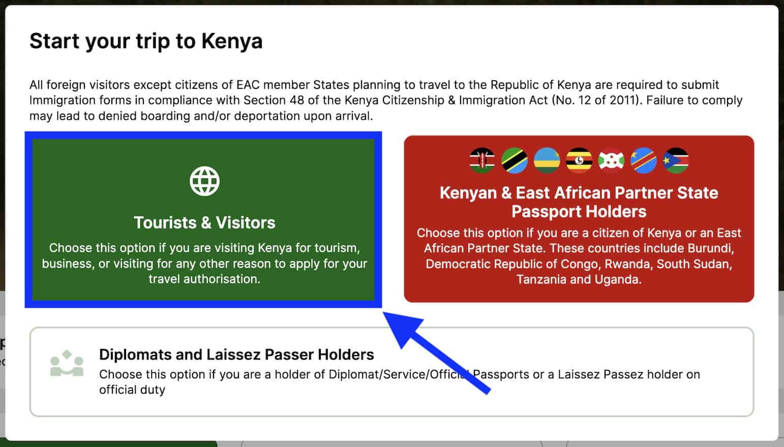 Kenya eVisa website 2