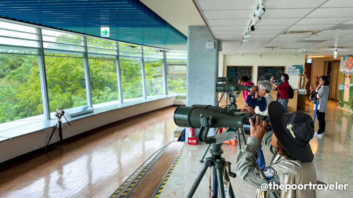 Guandu Nature Park Bird Watching