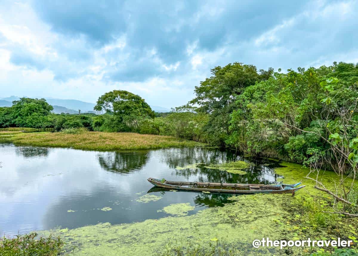 Guandu Nature Park Crescent Pond