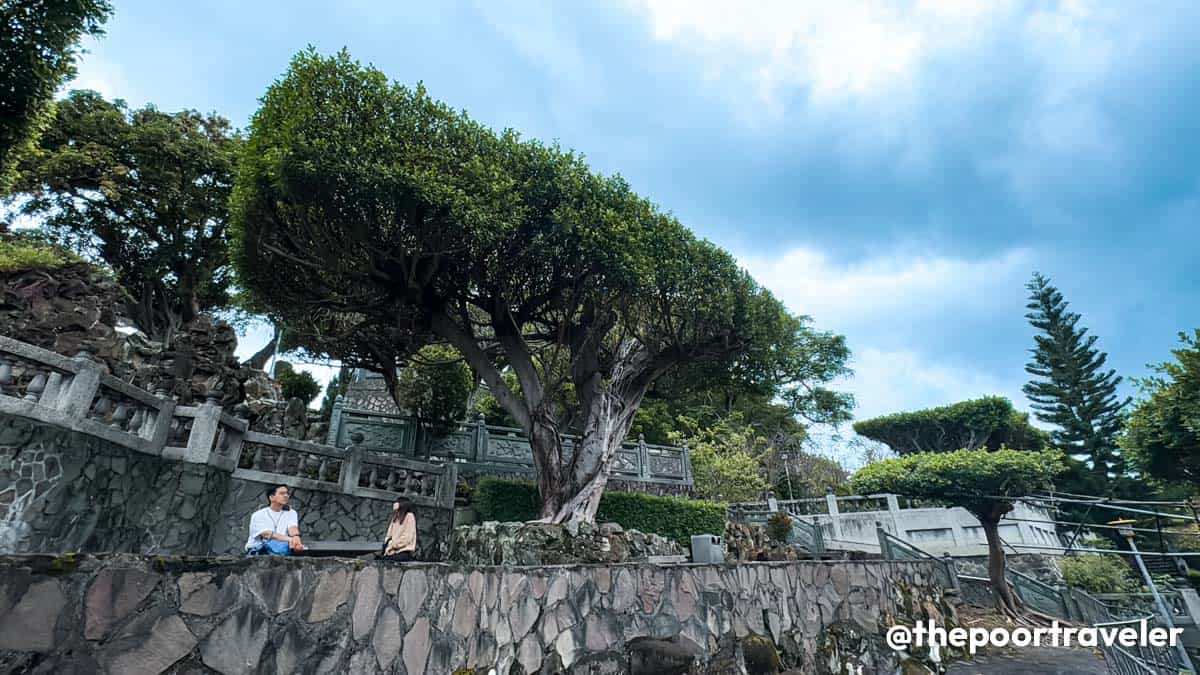 Guandu Temple Square Trees