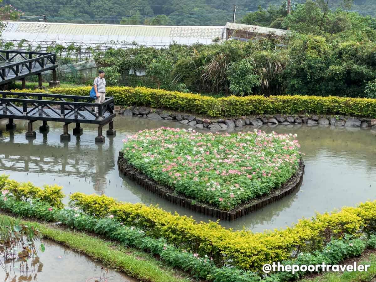 Heart-shaped Pond Taipei