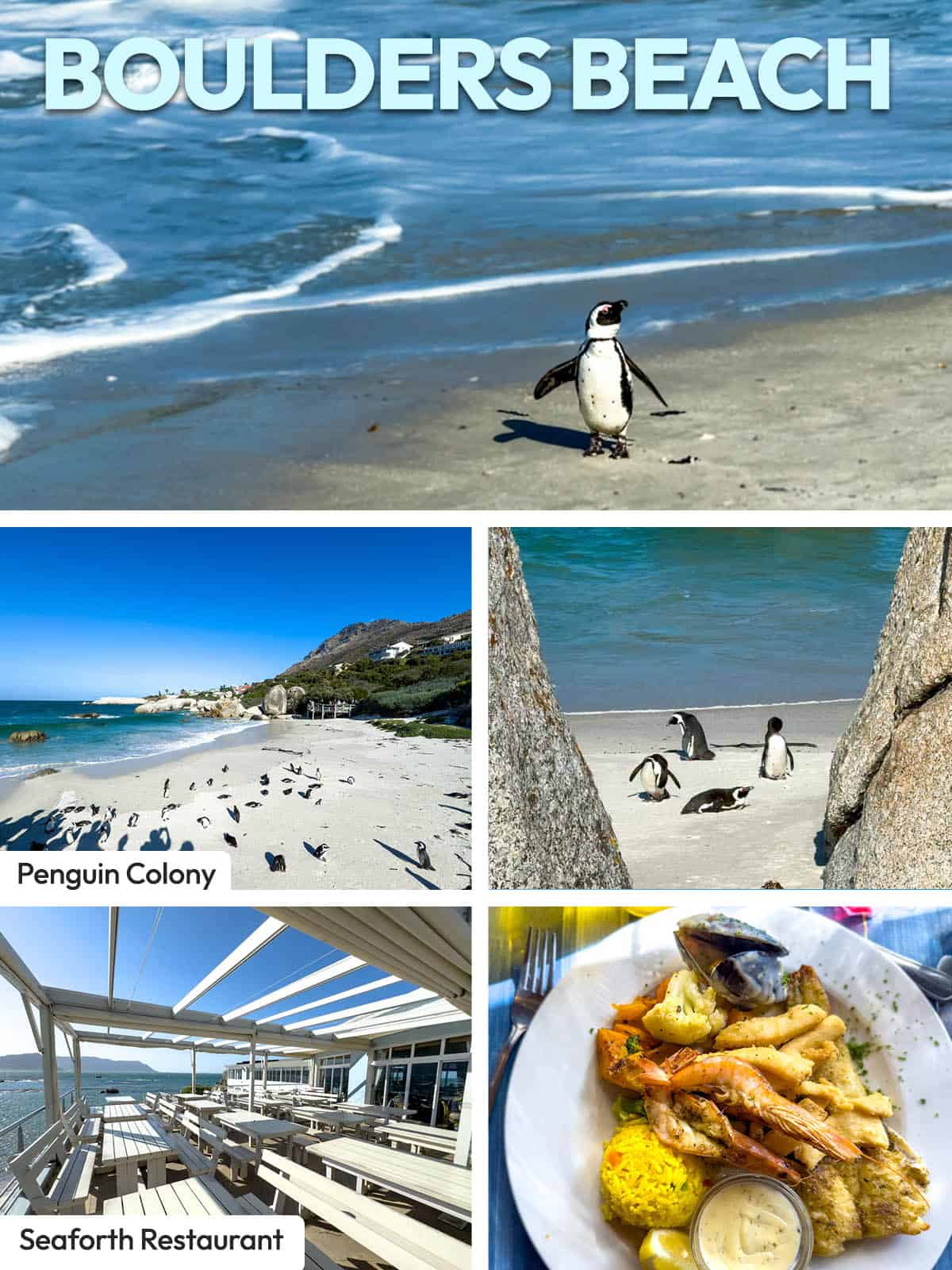 Boulders Beach