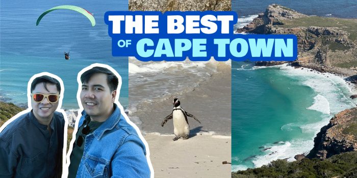 15 Best CAPE TOWN Tours & Things to Do • South Africa