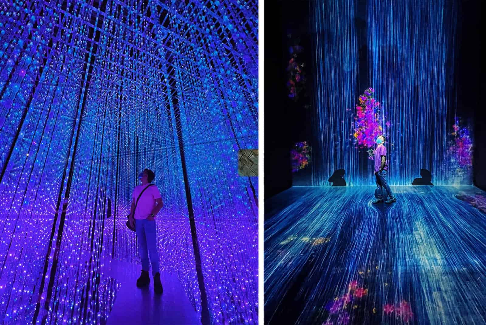 FutureWorld teamLab Singapore