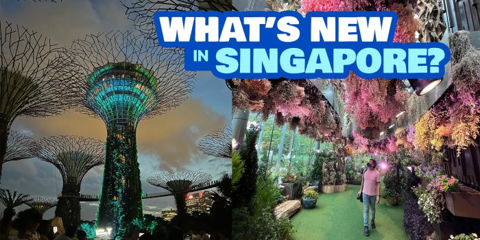 What’s New in Singapore? 7 Irresistible Reasons to Return this 2025